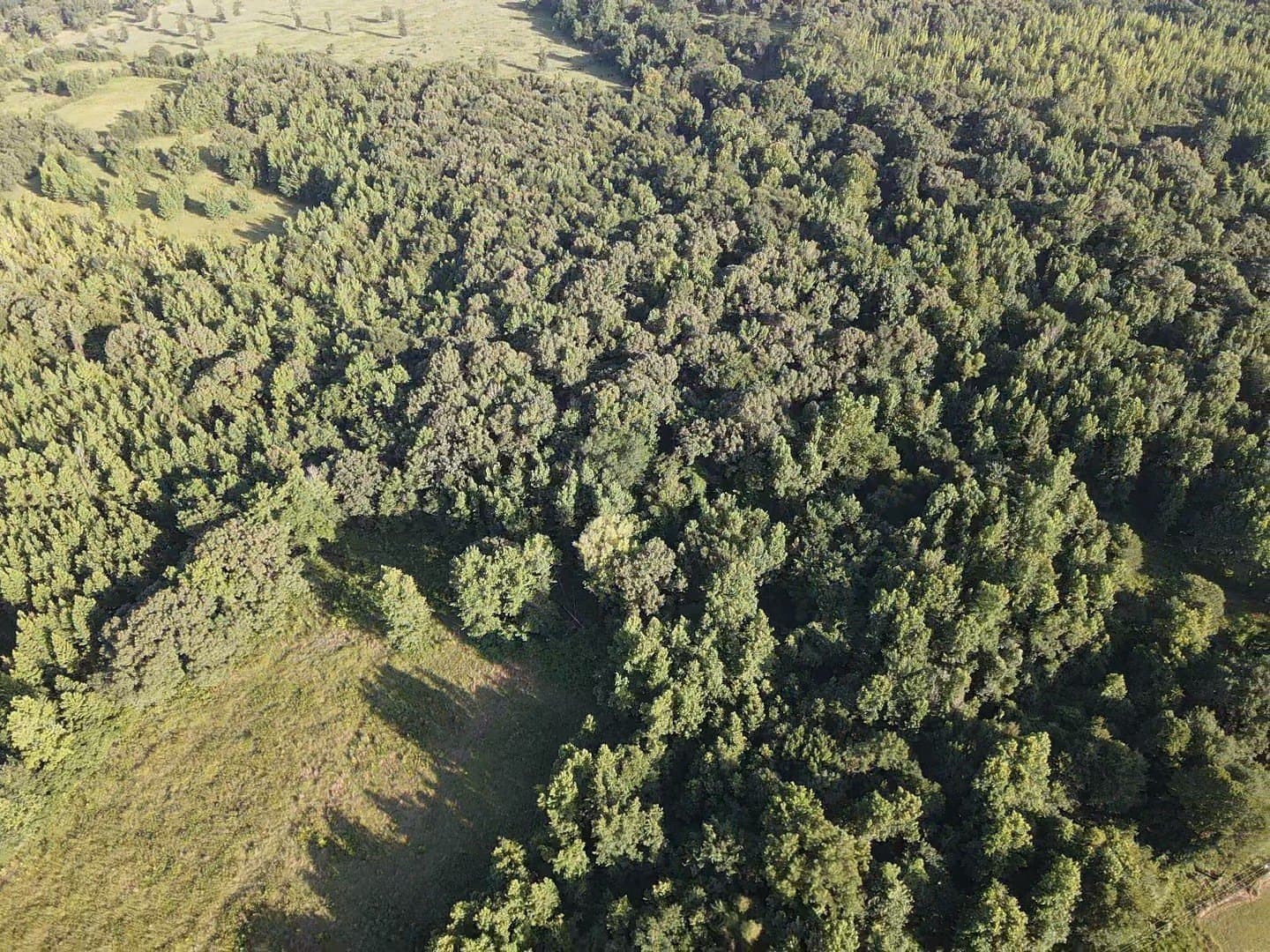23.24 acres in Lamar County - photo 2