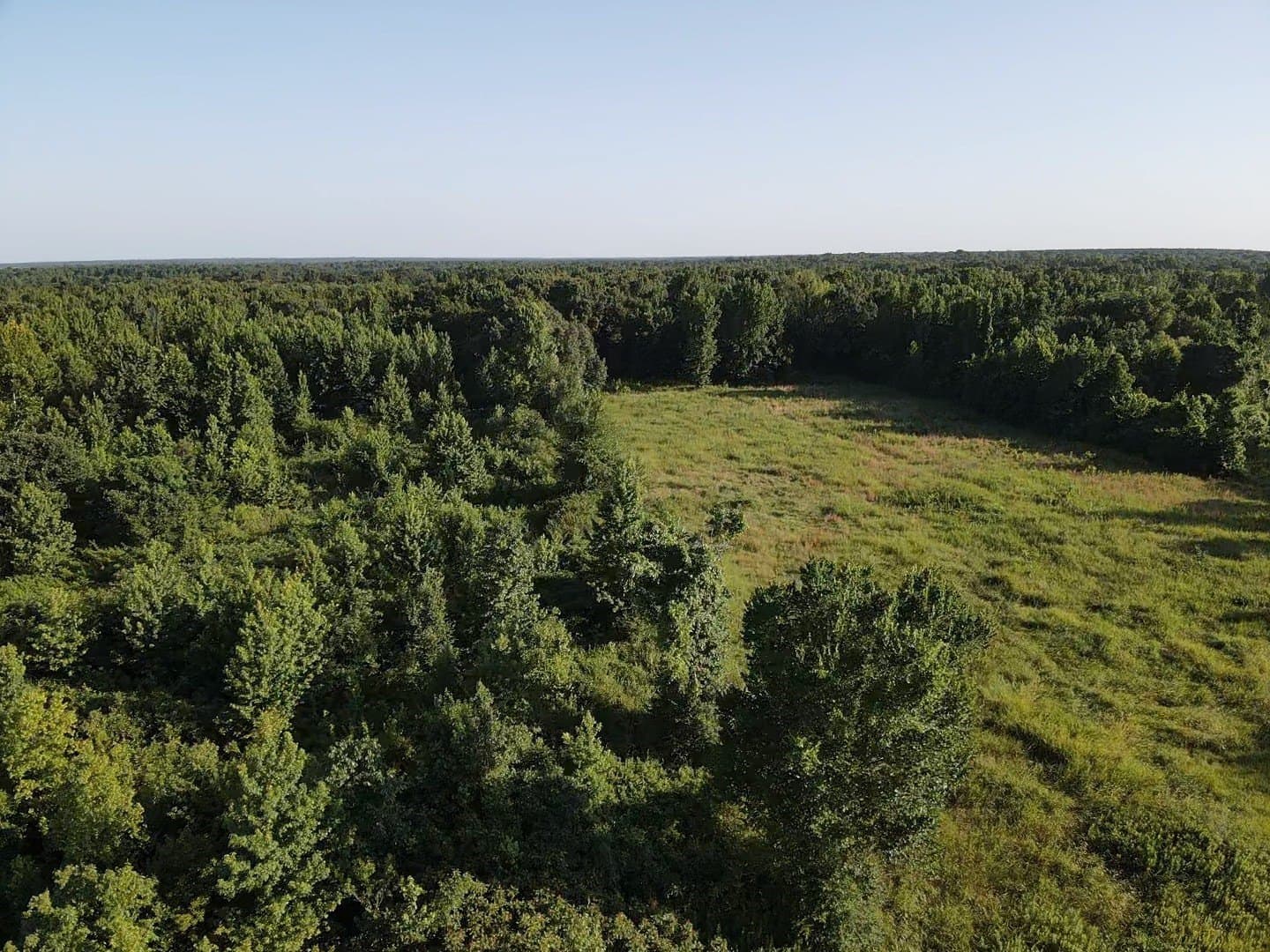 23.24 acres in Lamar County - photo 11