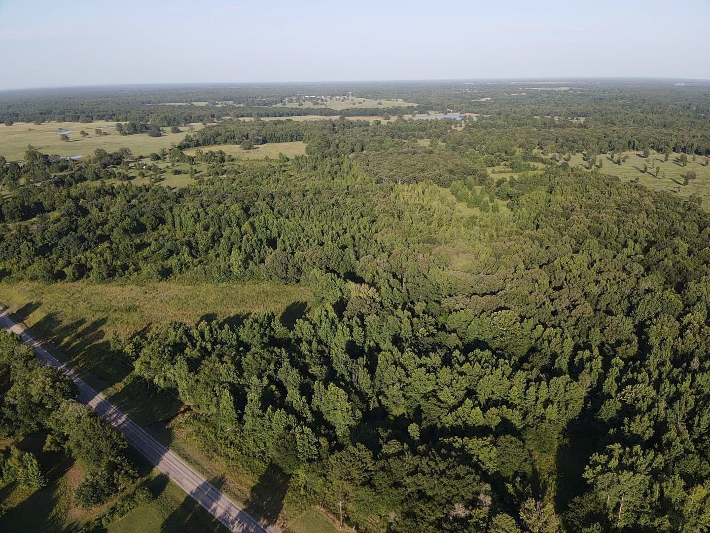 23.24 acres in Lamar County - photo 4
