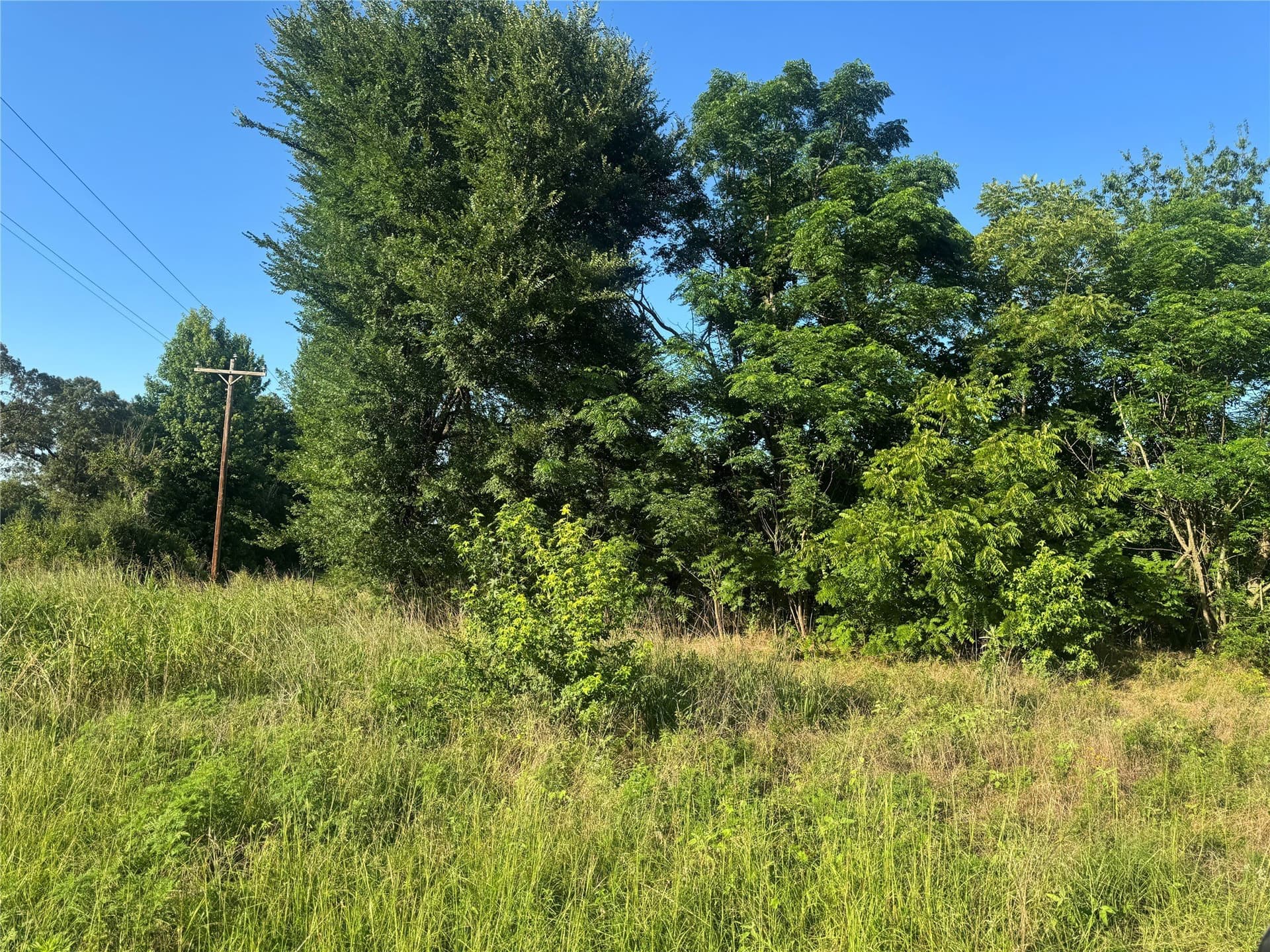 23.24 acres in Lamar County - photo 7