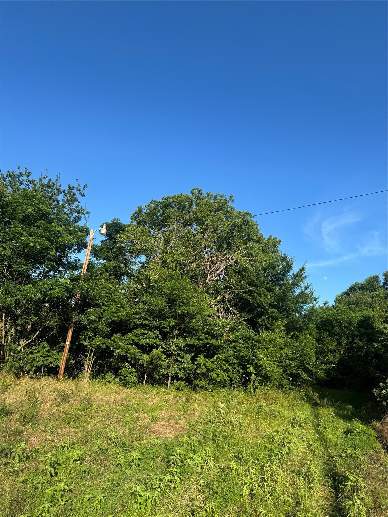 23.24 acres in Lamar County - photo 8