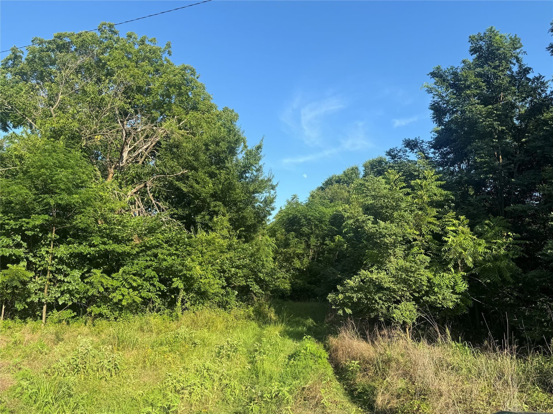 23.24 acres in Lamar County - photo 9
