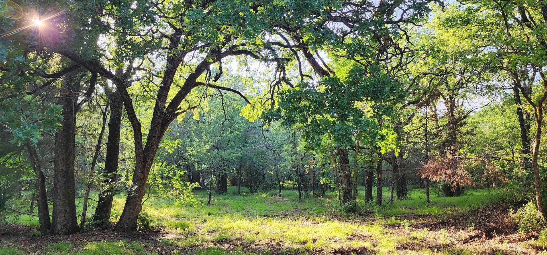 16.79 acres in Denton County - photo 9