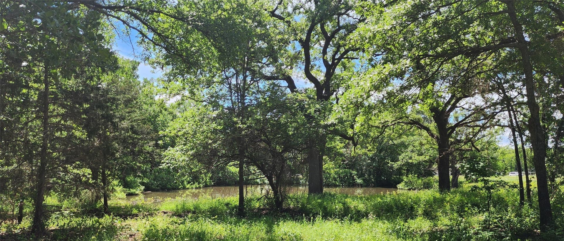 16.79 acres in Denton County - photo 17