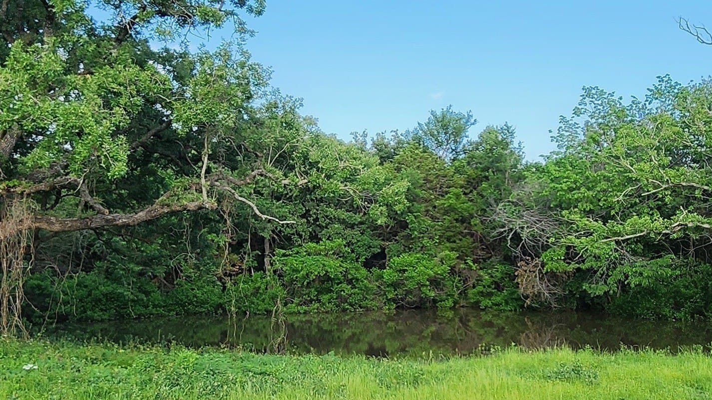 16.79 acres in Denton County - photo 13