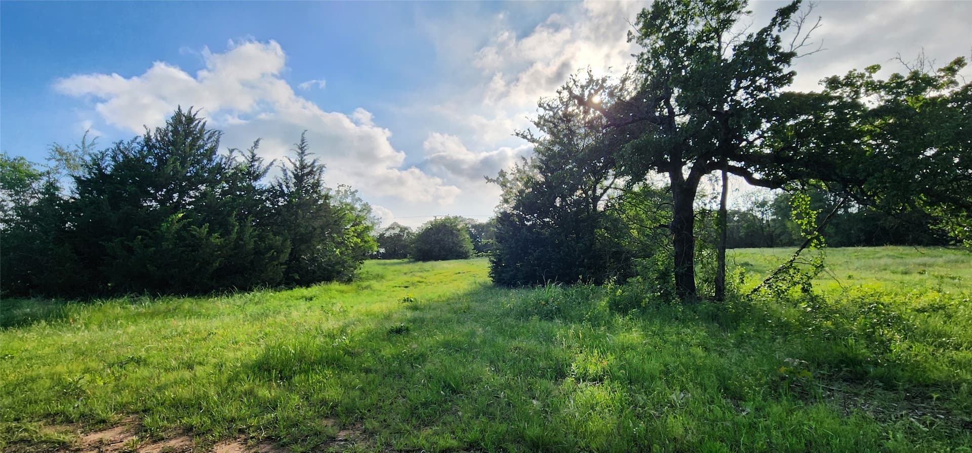 16.79 acres in Denton County - photo 15