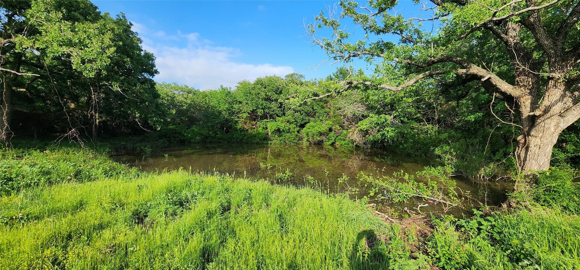 16.79 acres in Denton County - photo 16