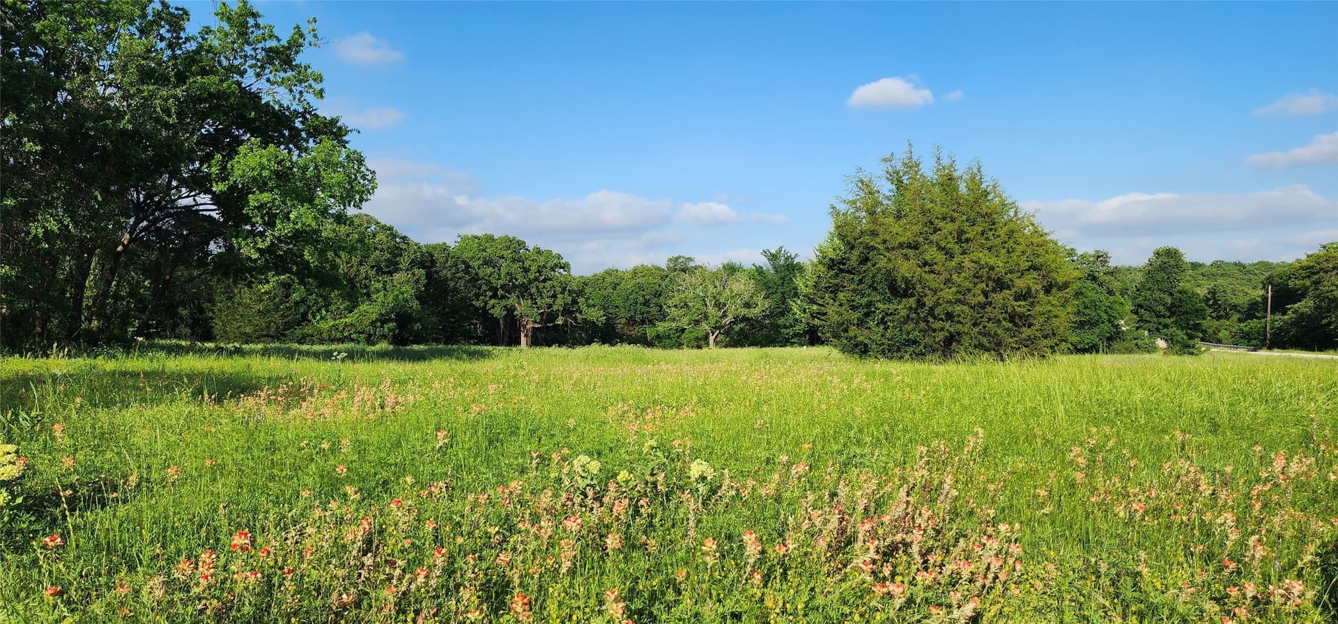 16.79 acres in Denton County - photo 18