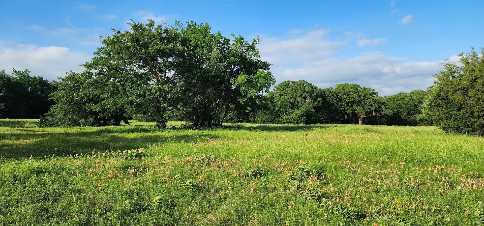 16.79 acres in Denton County - photo 11
