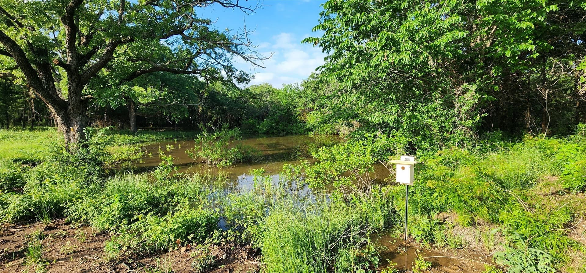 16.79 acres in Denton County - photo 14