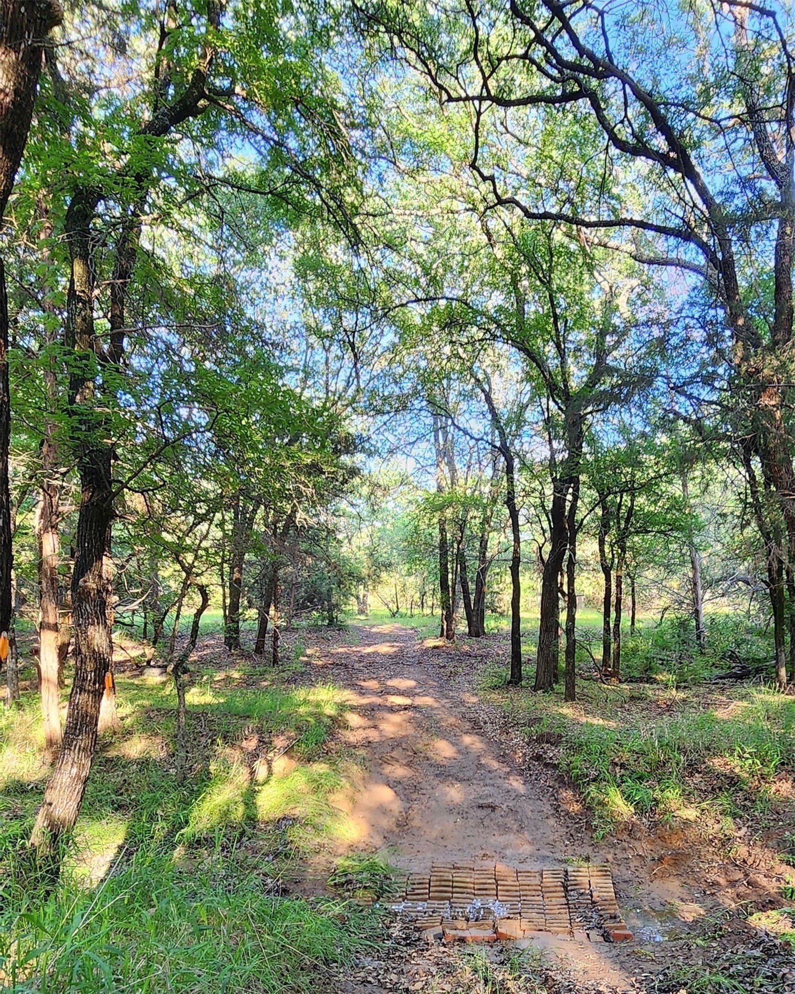16.79 acres in Denton County - photo 8