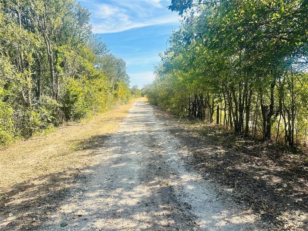 8 acres in McLennan County gallery image 2