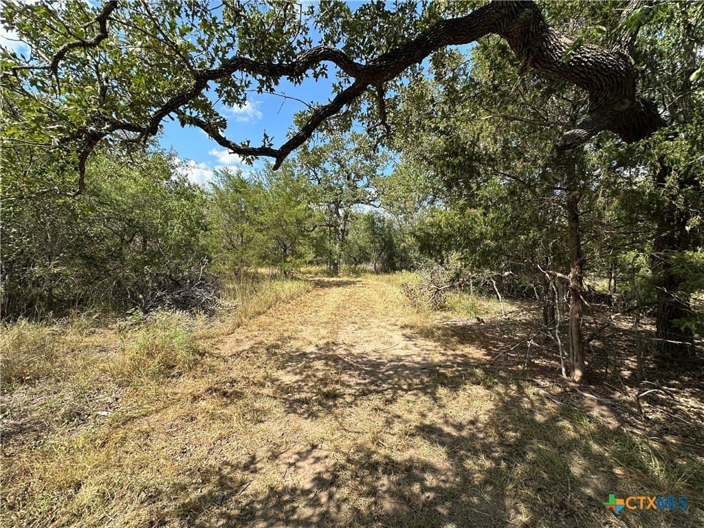 23.97 acres in Caldwell County gallery image 2