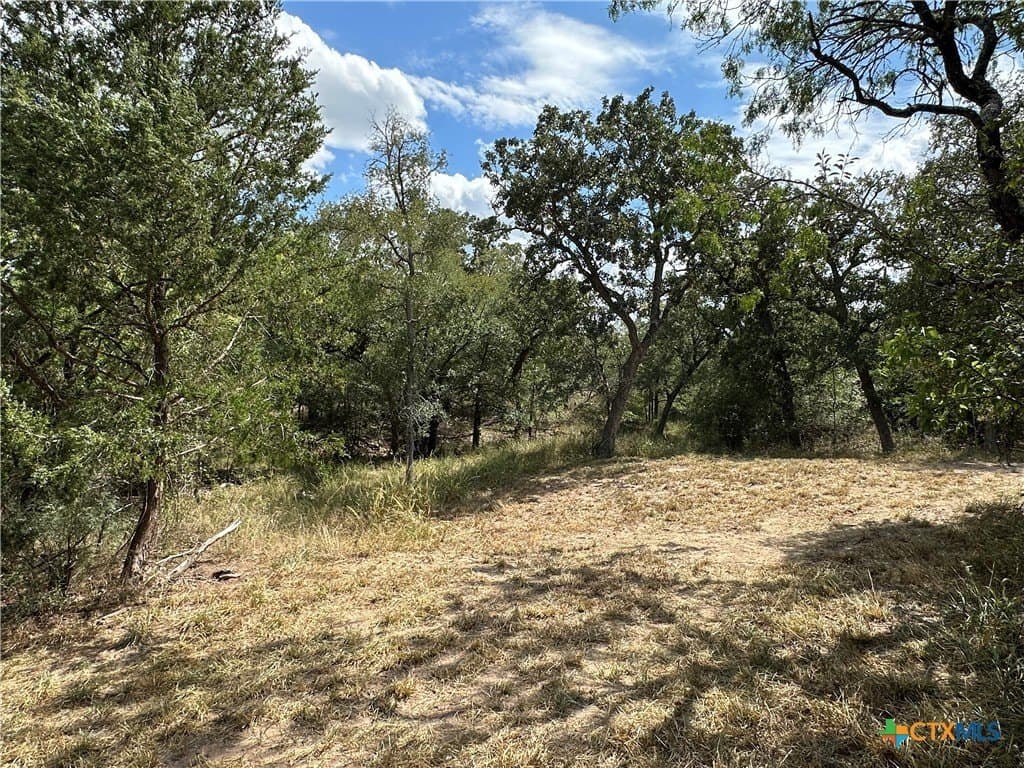 23.97 acres in Caldwell County - photo 15