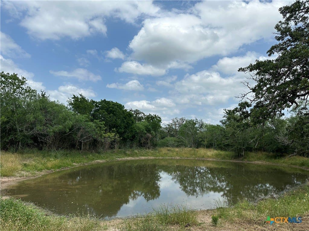 23.97 acres in Caldwell County gallery image 4