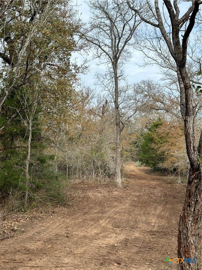 23.97 acres in Caldwell County - photo 29