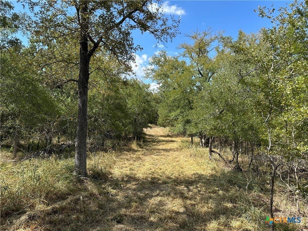 23.97 acres in Caldwell County - photo 10