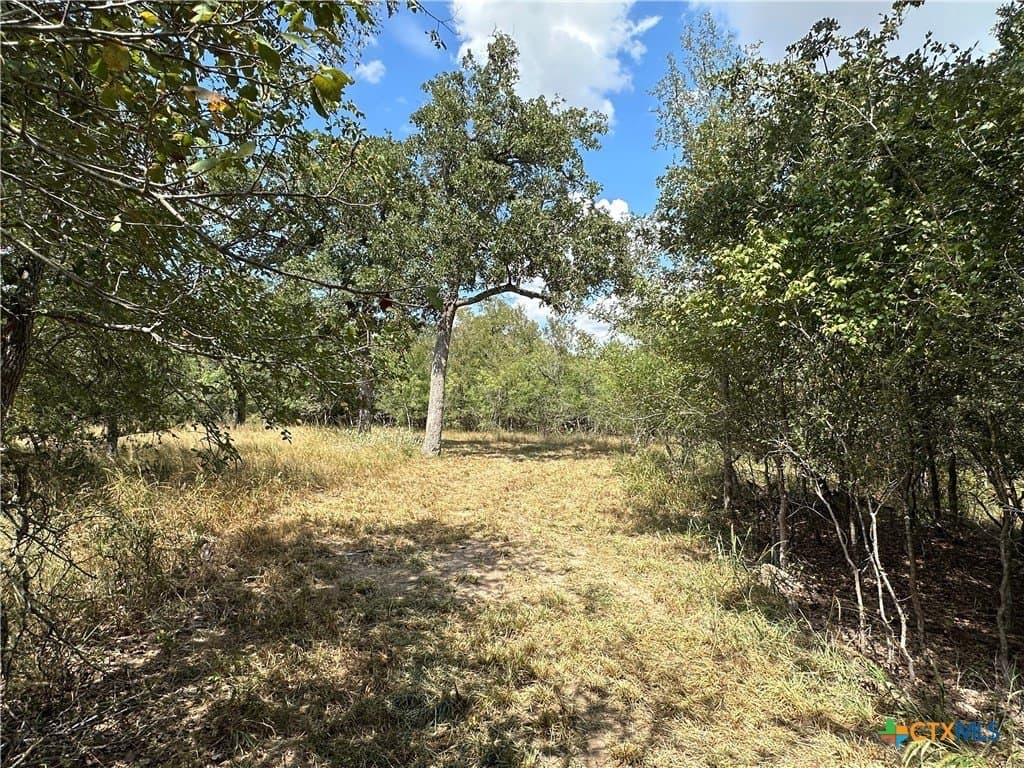23.97 acres in Caldwell County - photo 12