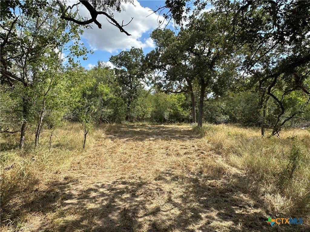 23.97 acres in Caldwell County - photo 16