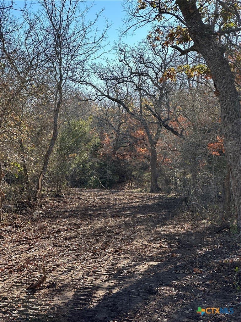 23.97 acres in Caldwell County - photo 28