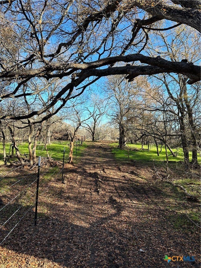 23.97 acres in Caldwell County - photo 25