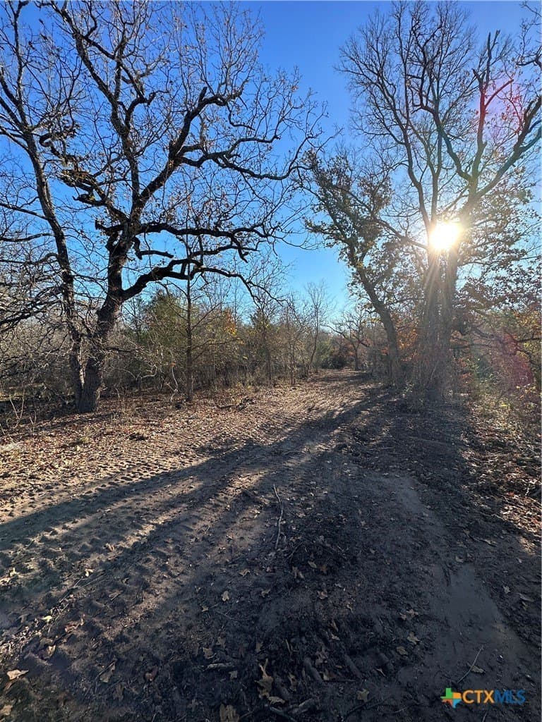 23.97 acres in Caldwell County - photo 27