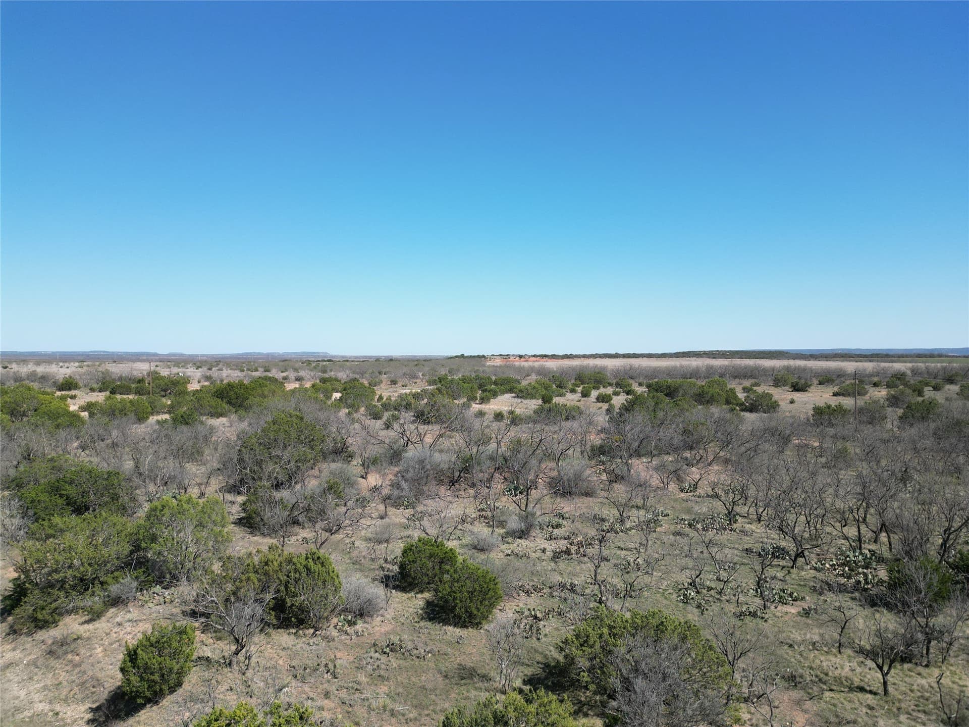 150 acres in Taylor County - photo 6