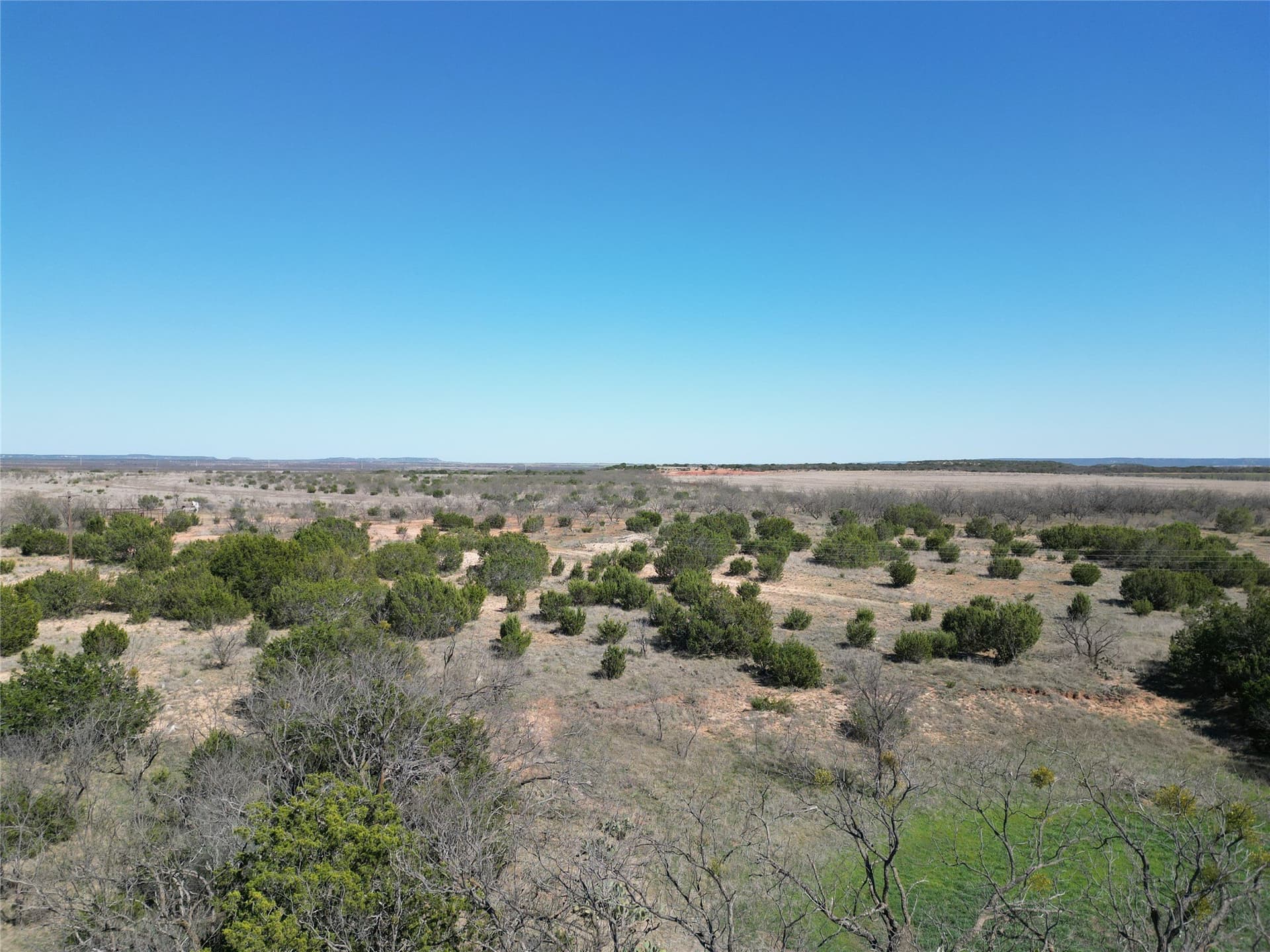150 acres in Taylor County - photo 7