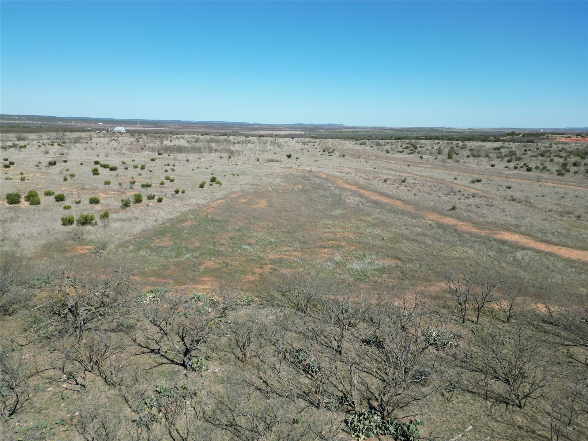 150 acres in Taylor County - photo 12