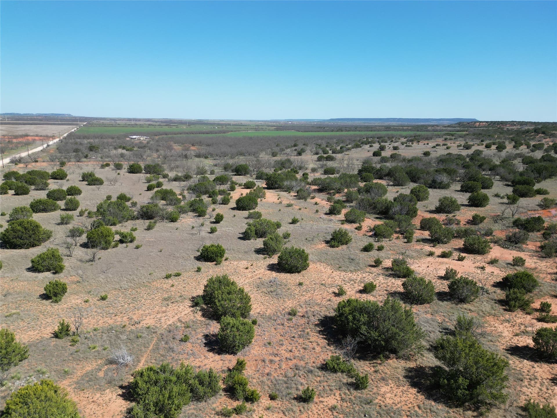 150 acres in Taylor County gallery image 2