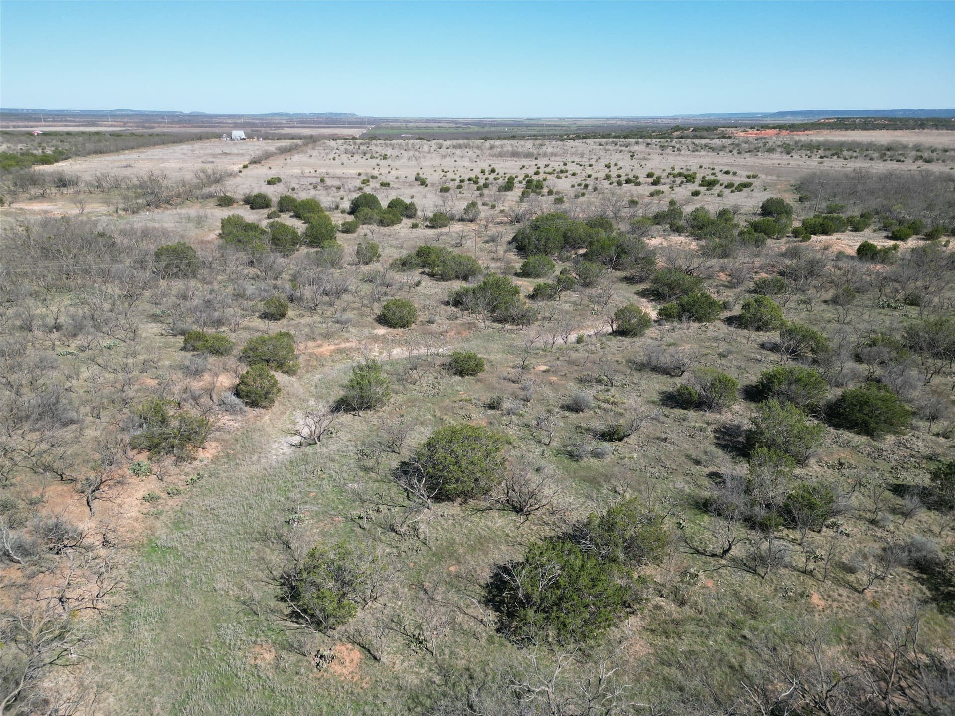 150 acres in Taylor County - photo 14