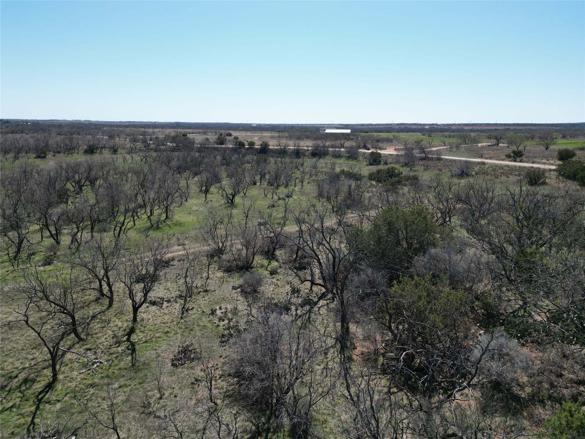 150 acres in Taylor County - photo 9