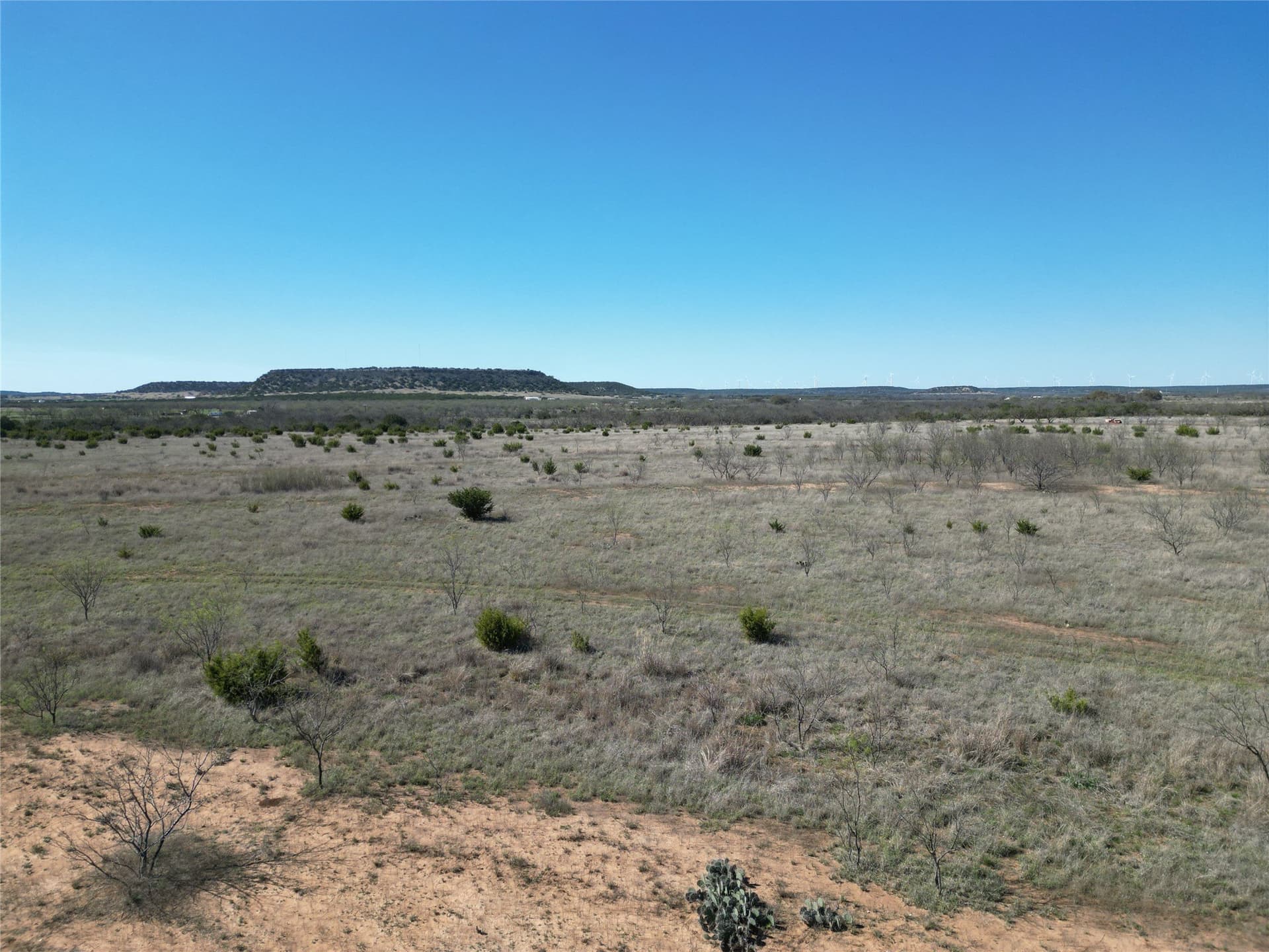 150 acres in Taylor County - photo 19