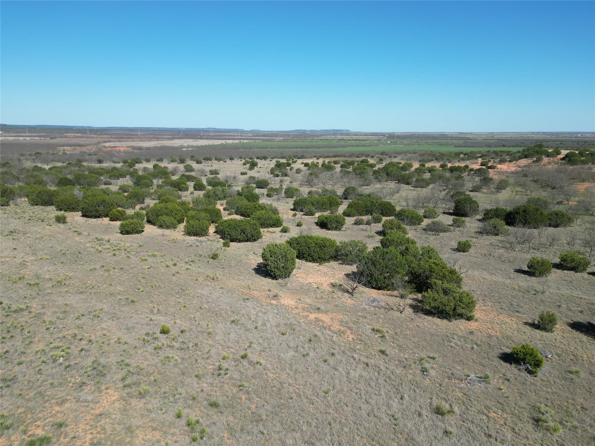 150 acres in Taylor County - photo 18