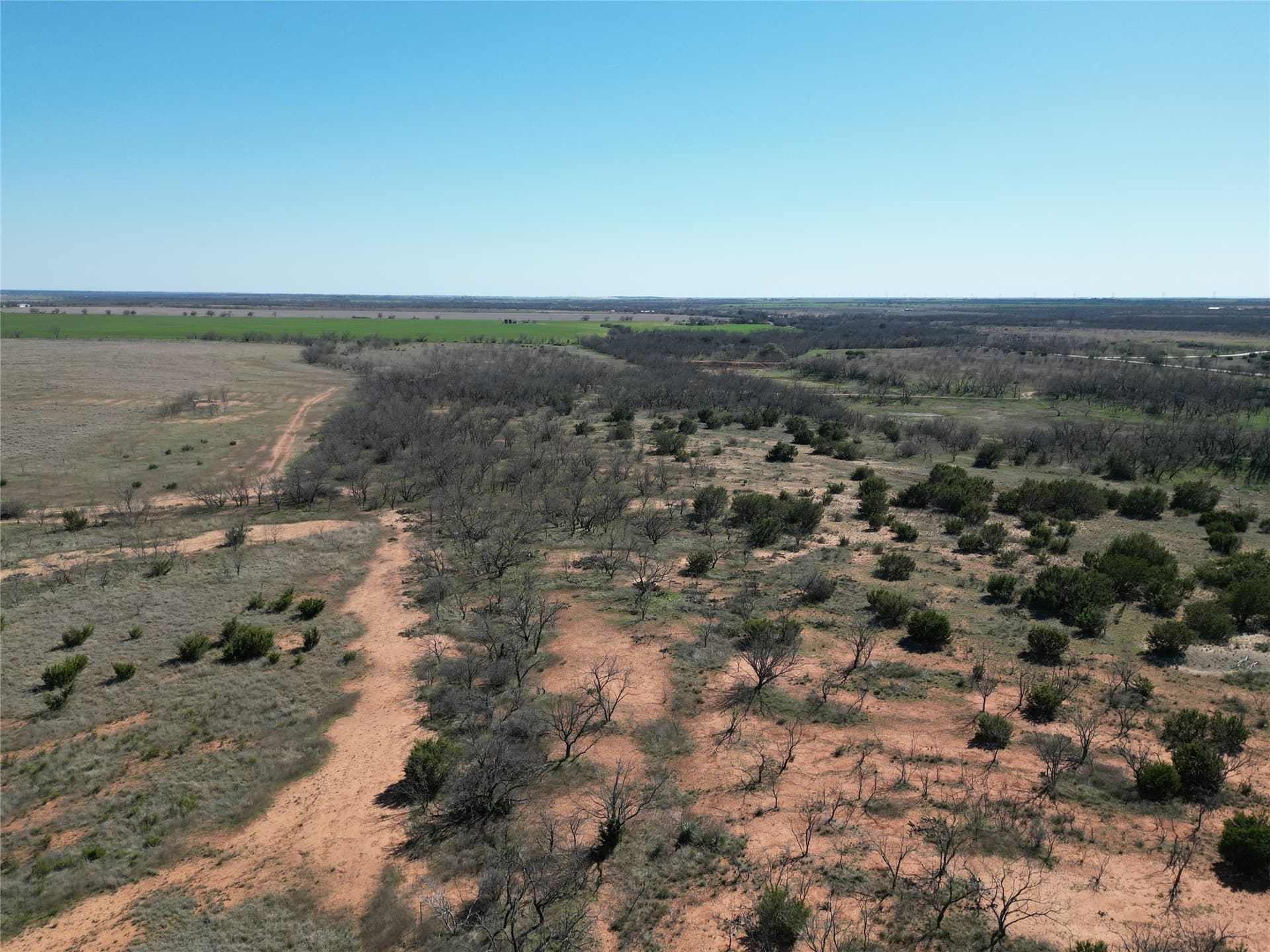 150 acres in Taylor County gallery image 3