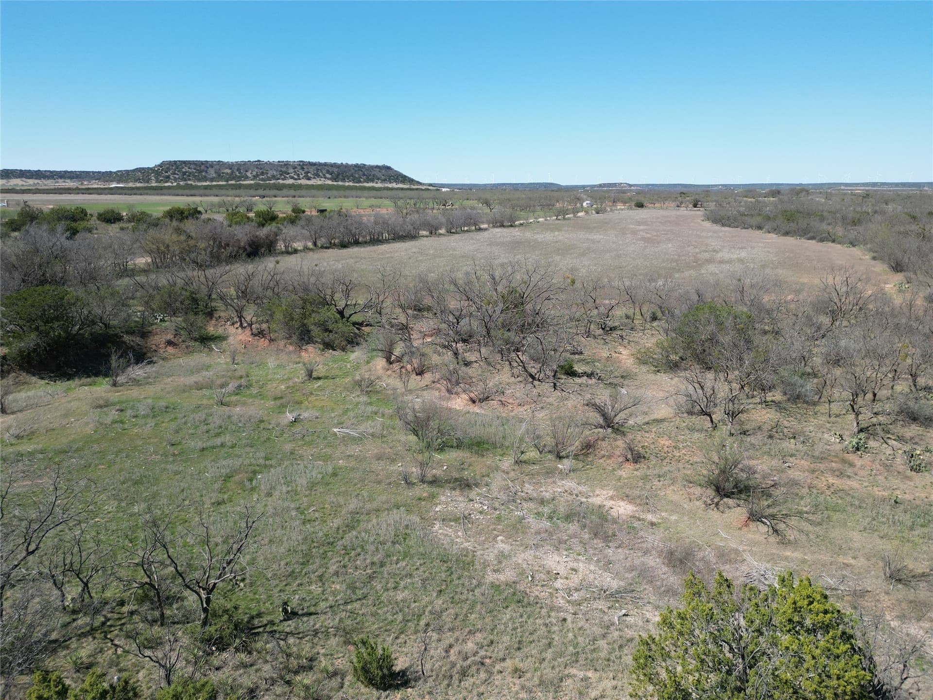 150 acres in Taylor County - photo 10