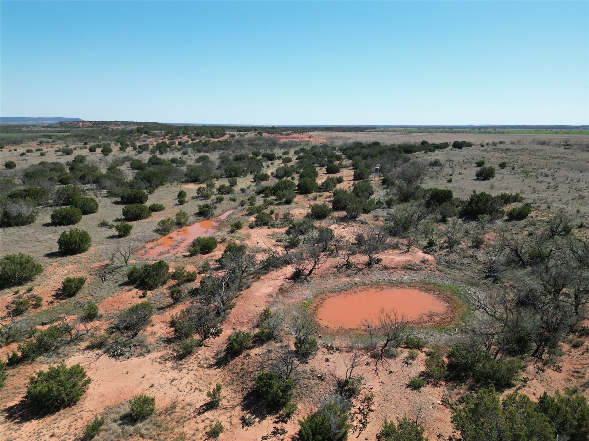 150 acres in Taylor County featured view