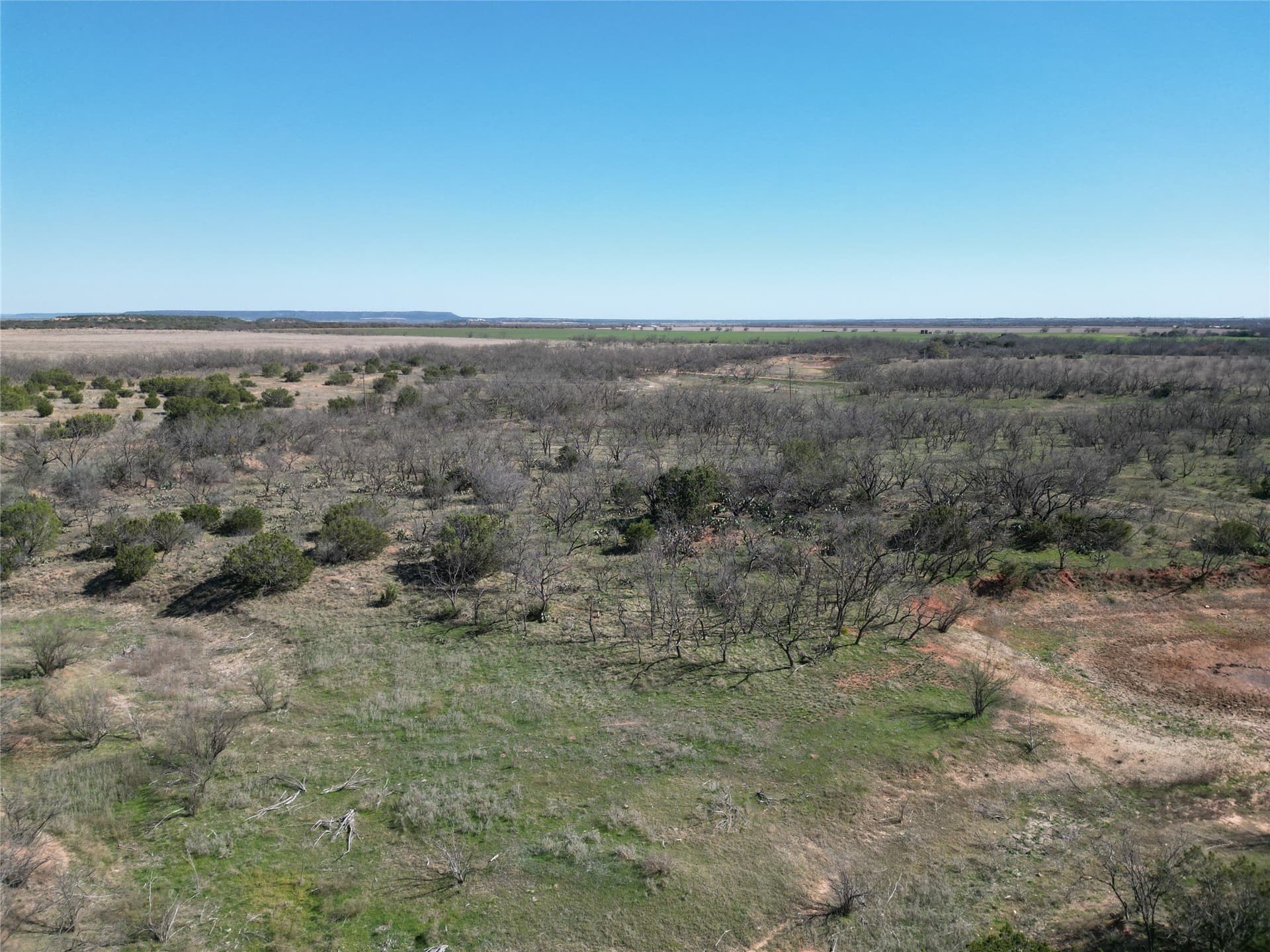150 acres in Taylor County - photo 23