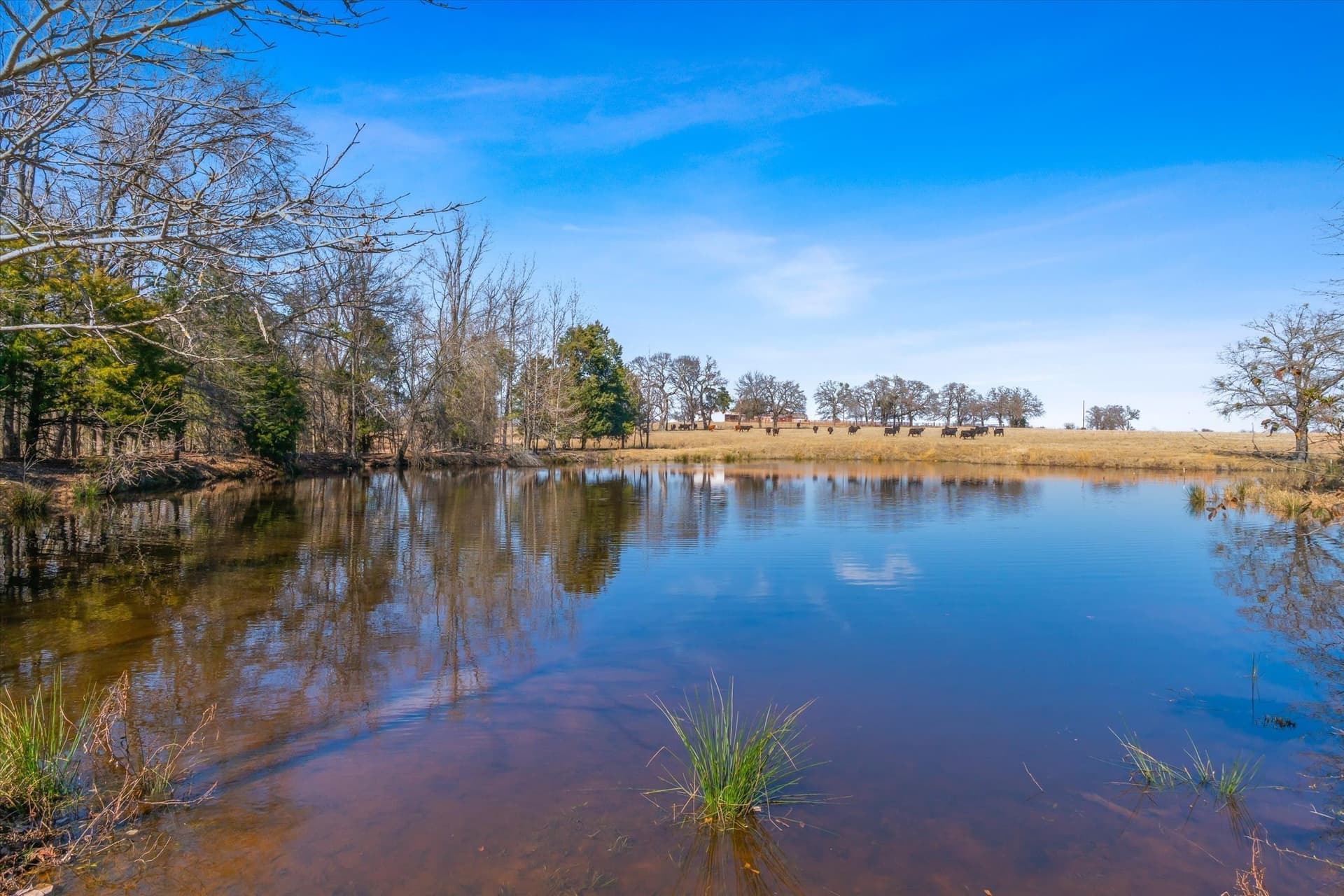 10.1 acres in Van Zandt County - photo 27