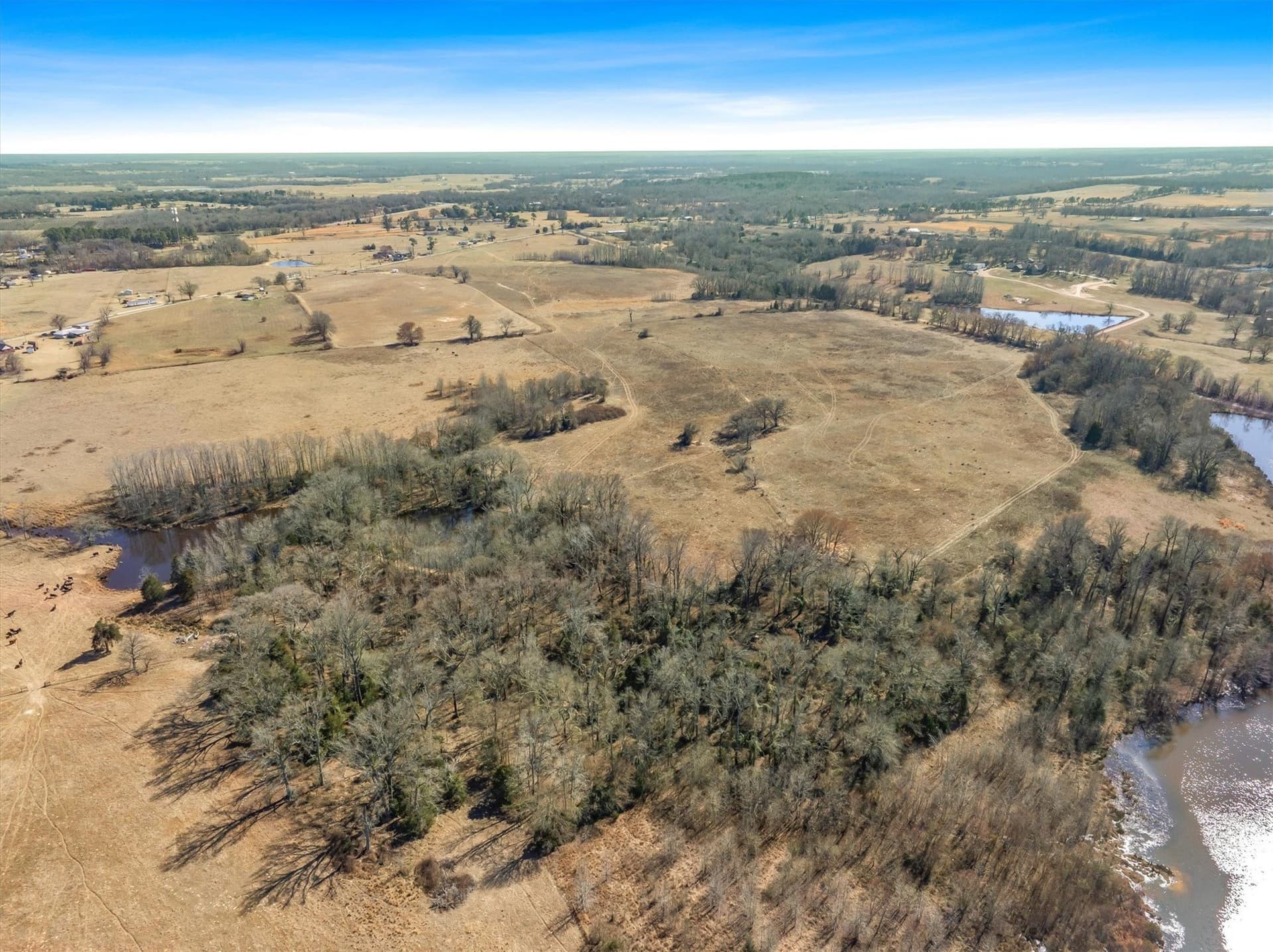10.1 acres in Van Zandt County - photo 3