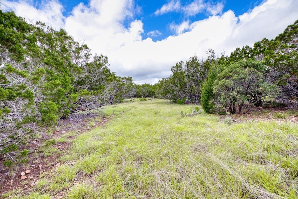73.64 acres in Real County - photo 14