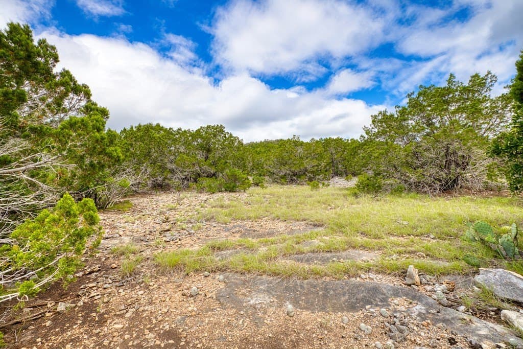 73.64 acres in Real County - photo 7