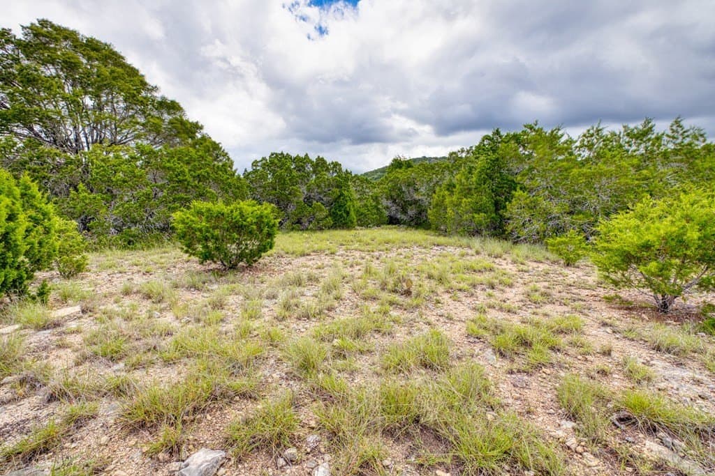 73.64 acres in Real County - photo 8