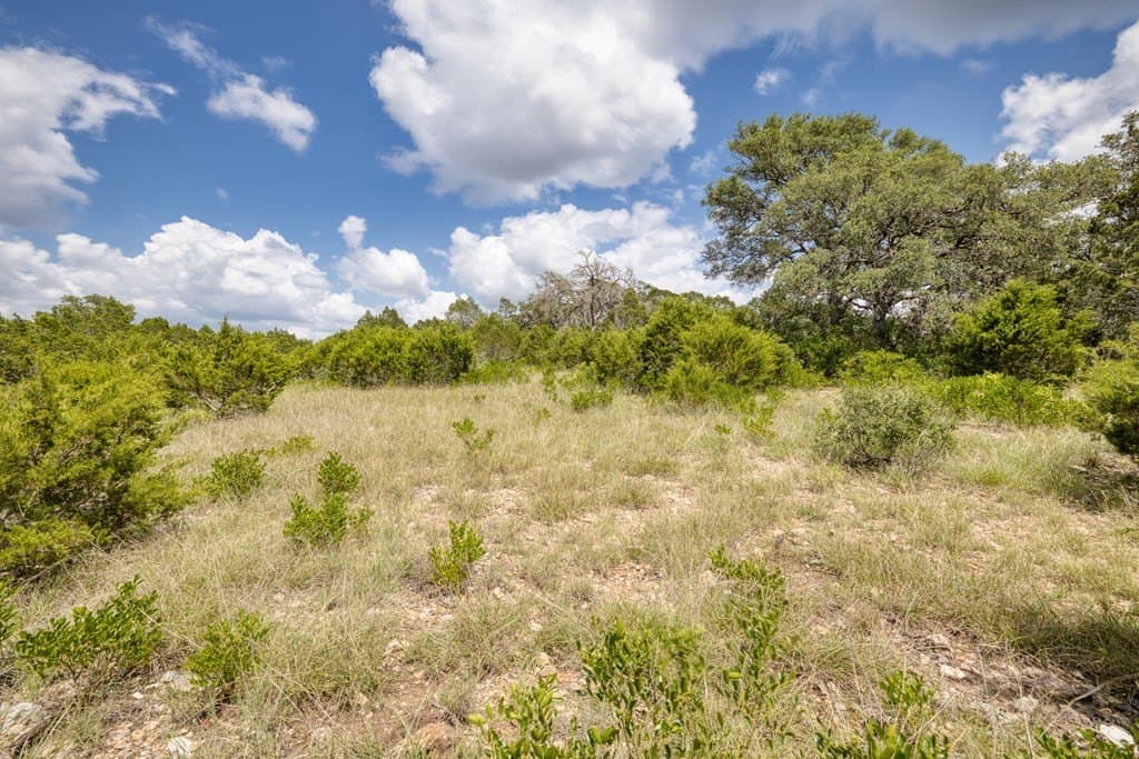 73.64 acres in Real County - photo 13