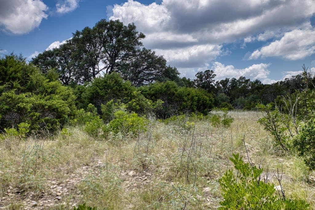 73.64 acres in Real County - photo 10