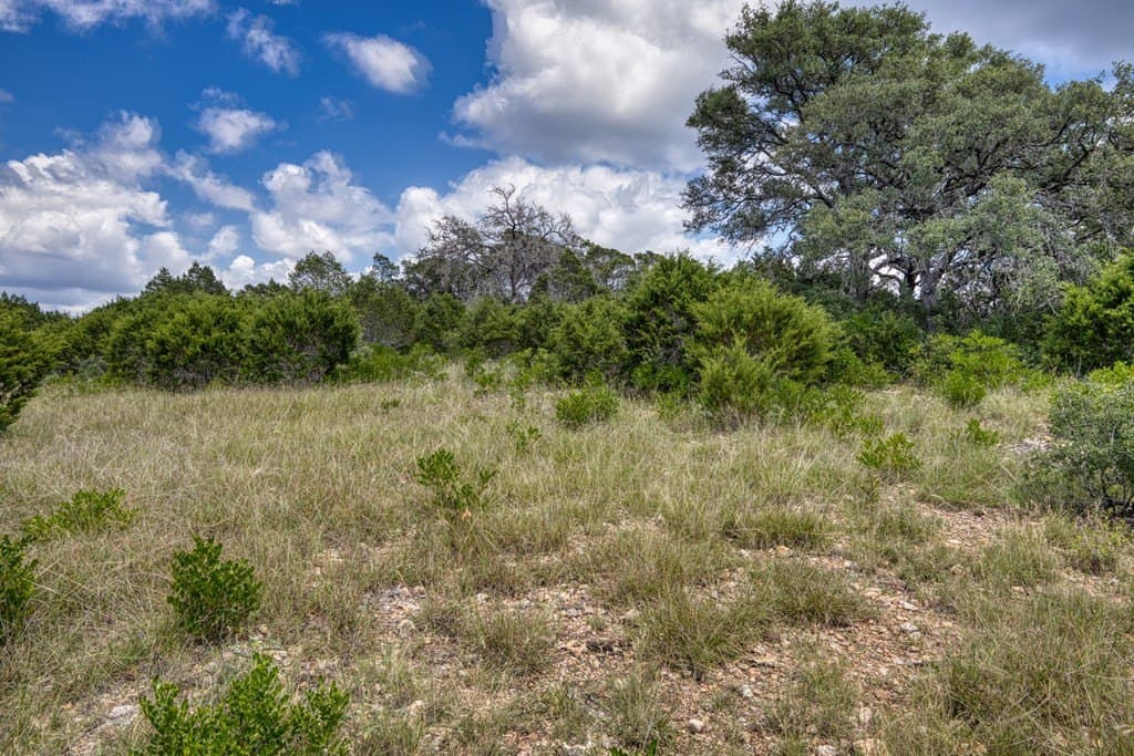 73.64 acres in Real County - photo 12