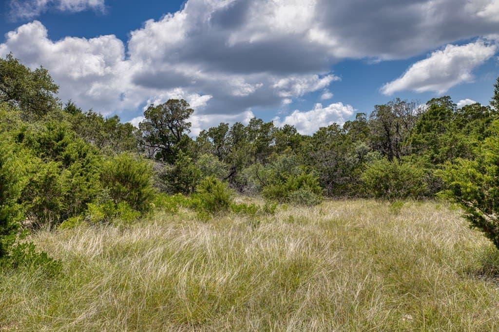 73.64 acres in Real County - photo 11