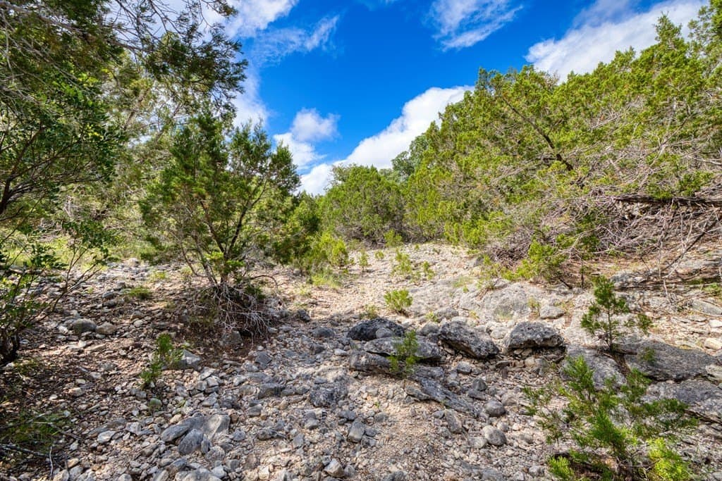 73.64 acres in Real County - photo 15