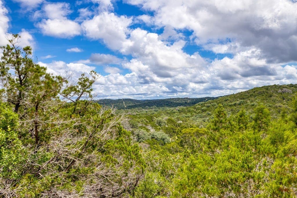 73.64 acres in Real County - photo 16