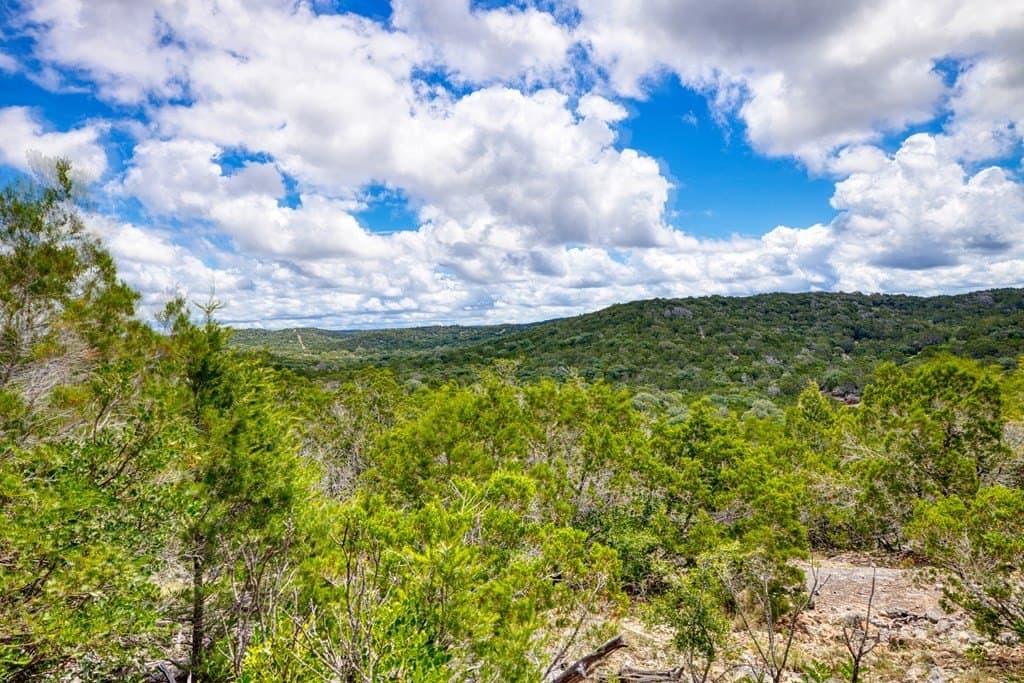 73.64 acres in Real County - photo 17